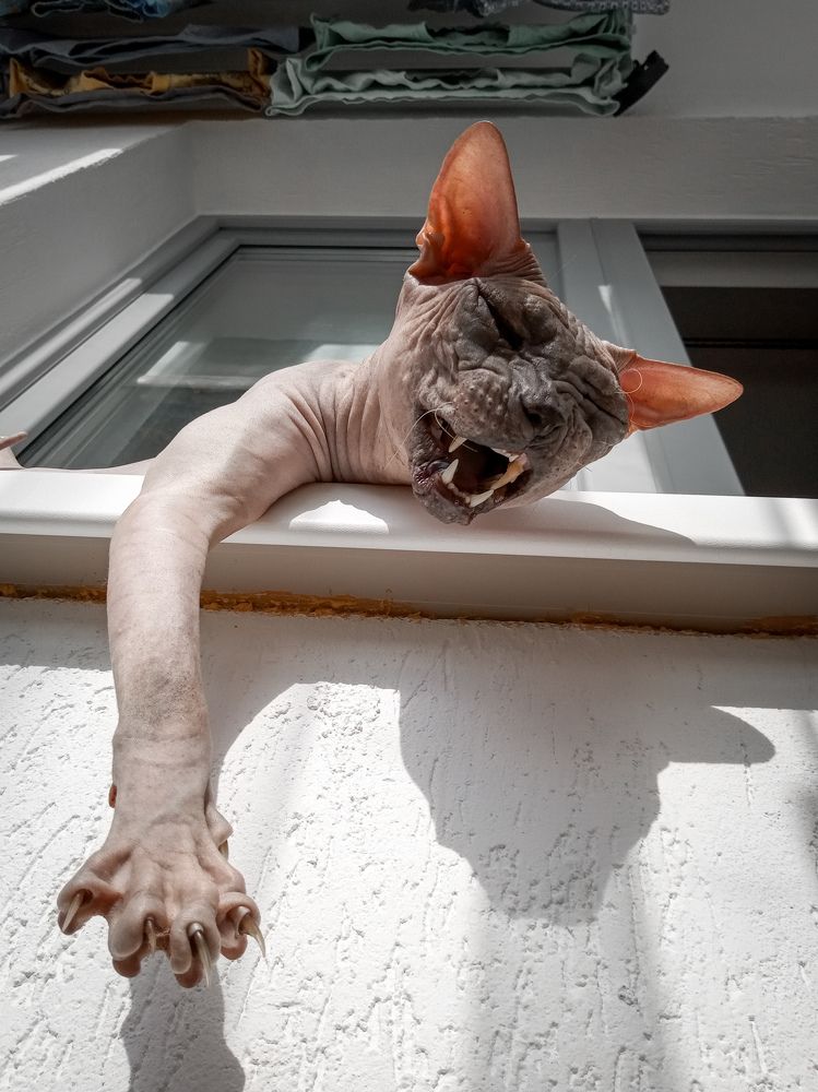 Фотография автора Ольга Неуймина