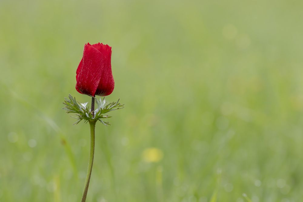 Фотография автора Nikolay Tatarchuk