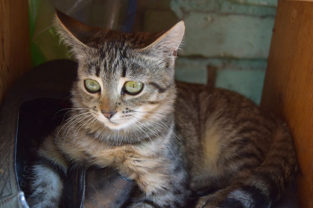 Photograph by Maiya Bulatova