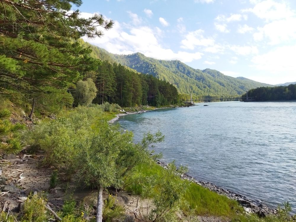 Photo #8695742