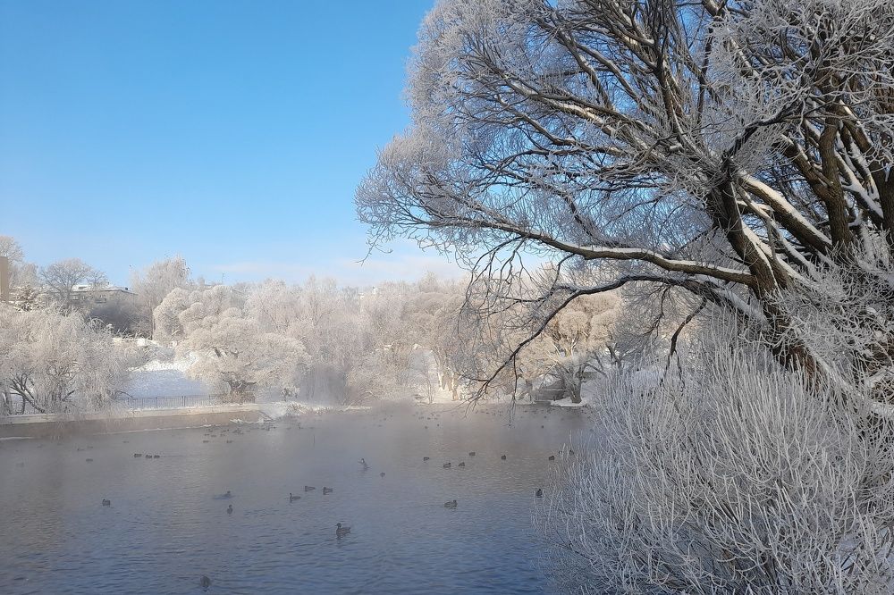 Фотография автора Тамара Караваева