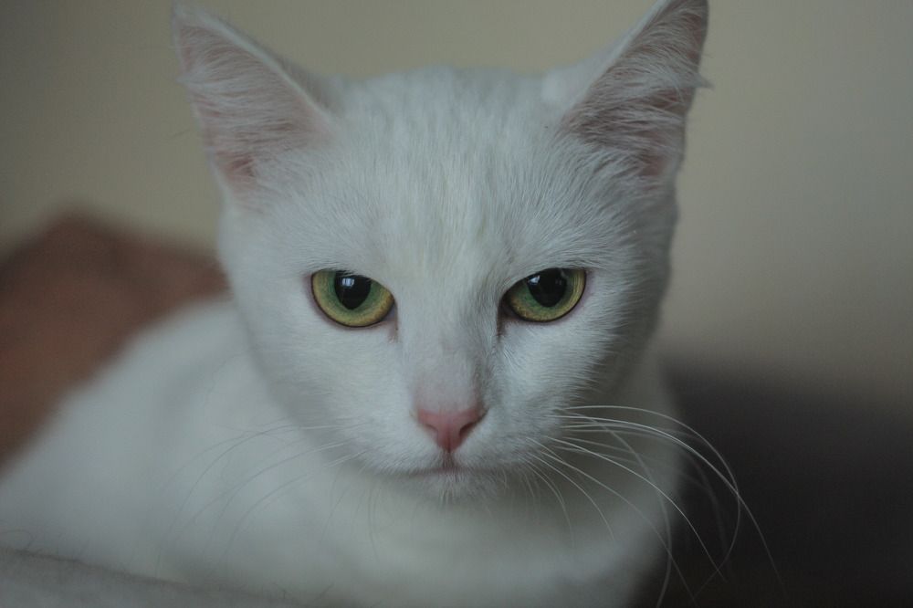 Photograph by Юлия Саморукова