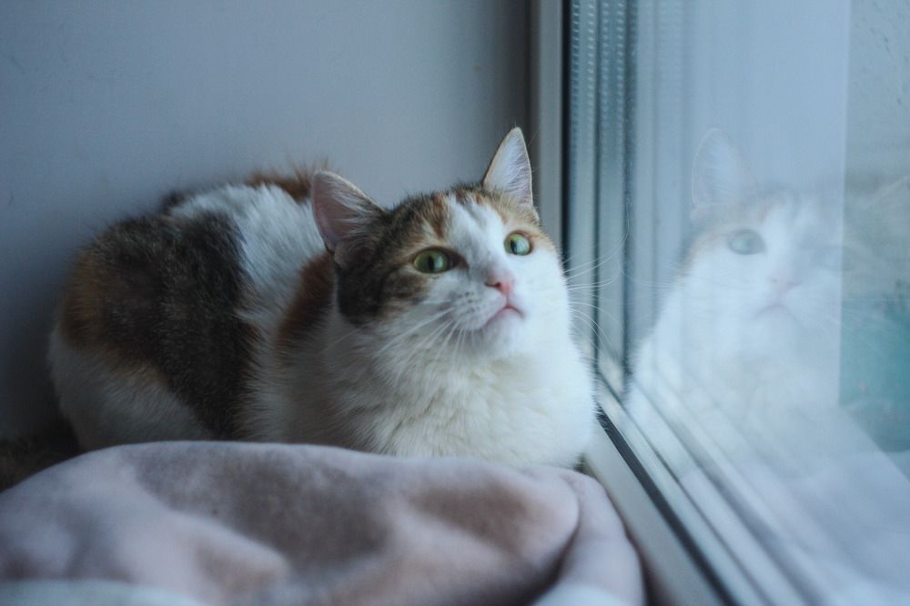 Photograph by Юлия Саморукова