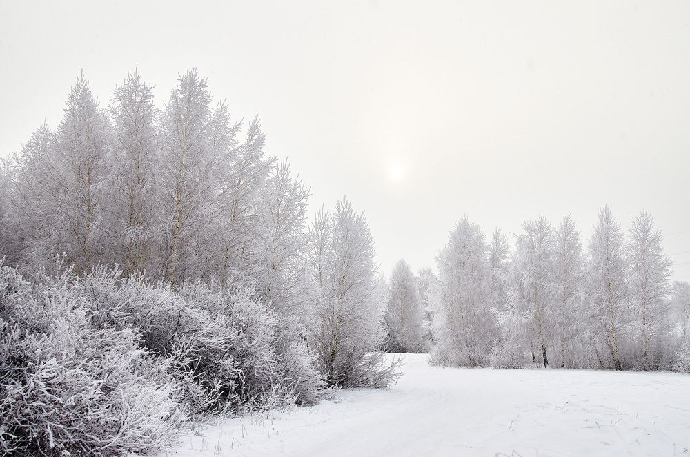 Photograph by Юрий Новиков