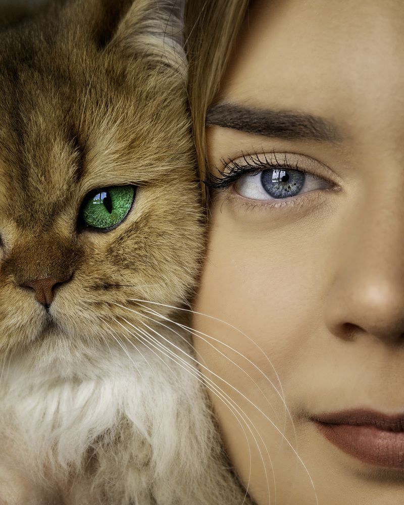 I got the eye of a tiger