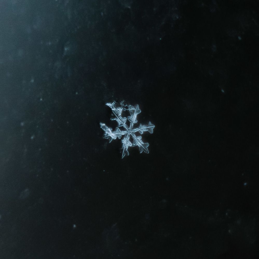 Photograph by Юлия Саморукова