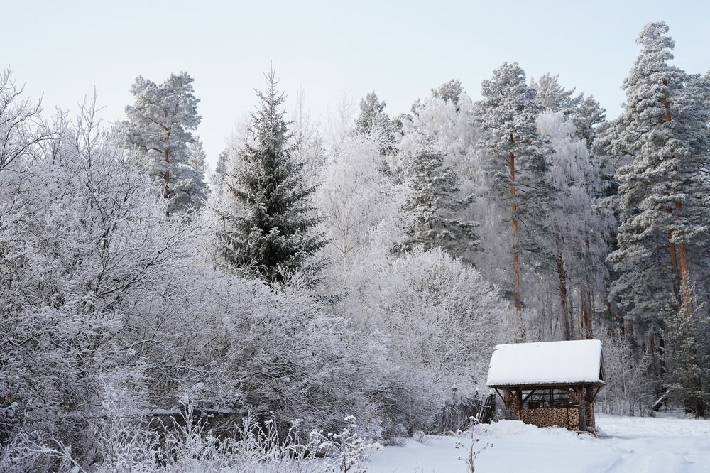 Photograph by Юлия Суслова