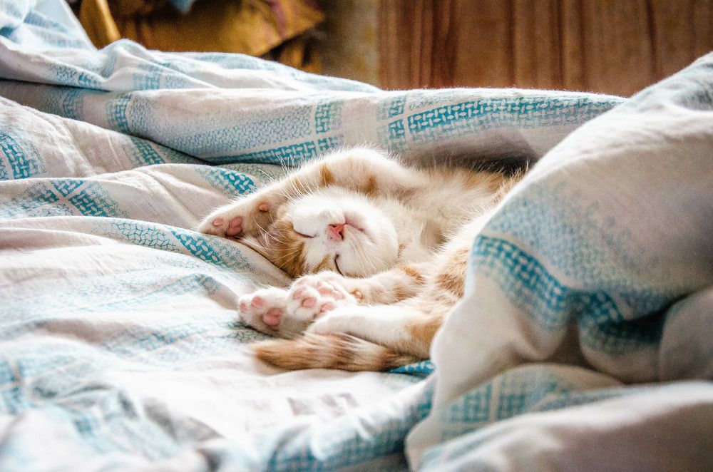 Photograph by Инна Гаджиева