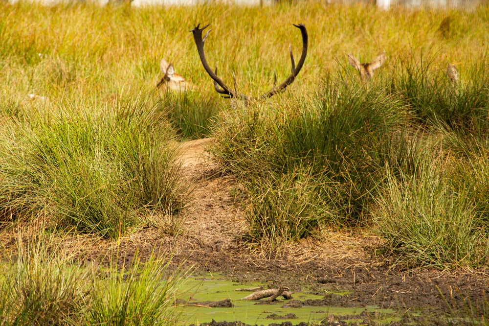Photograph by Ekaterina Narozhnova