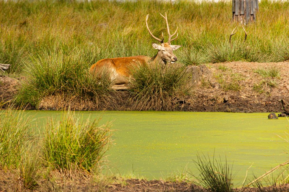 Photograph by Ekaterina Narozhnova