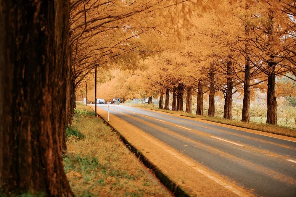 Photograph by Quang Dieu Le