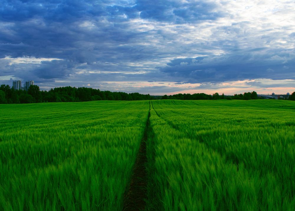 Фотография автора Алексей