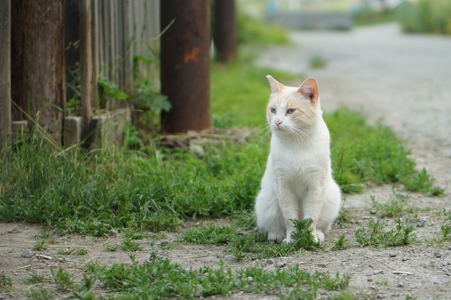 Photo #8695920