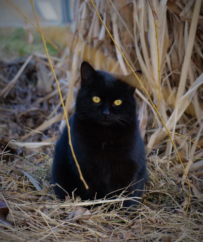 Photograph by Оксана Архипова