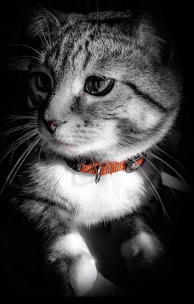 Photograph by Cindy Flick