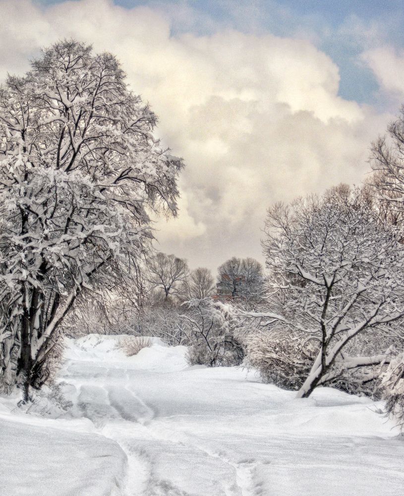 Фотография автора Milena Ivanova