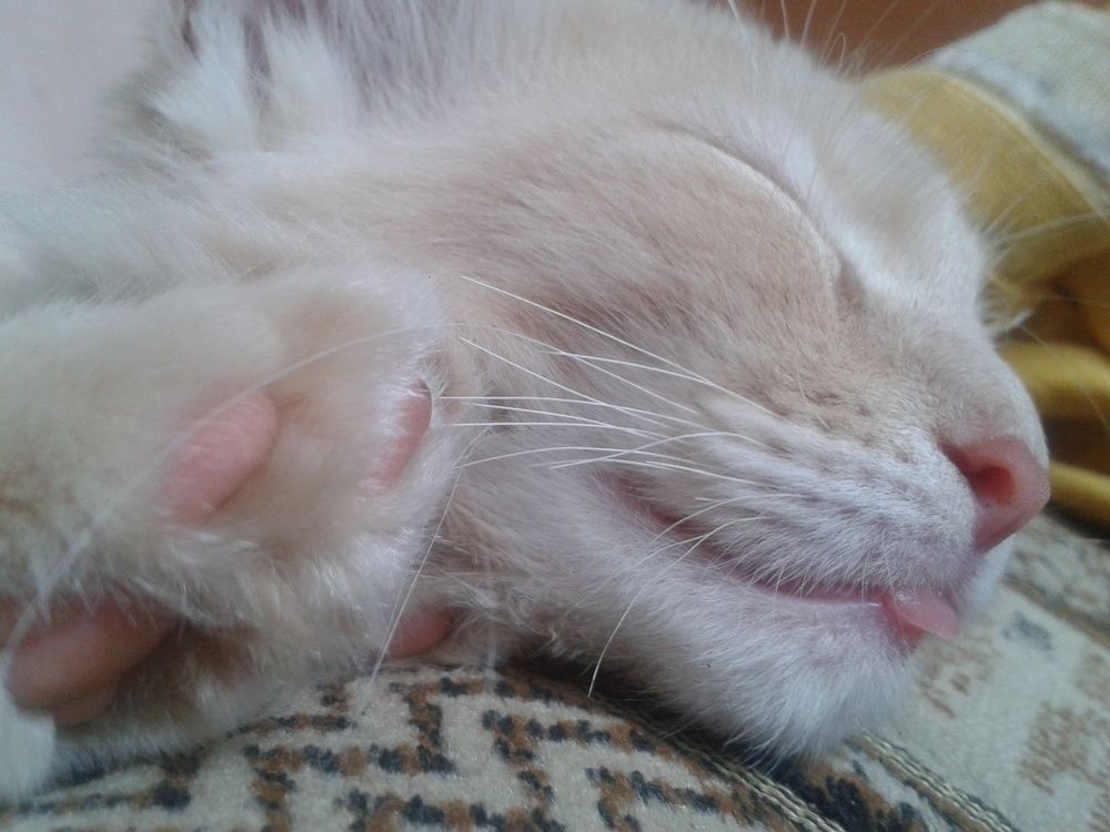 Photograph by Анжелика Гарина