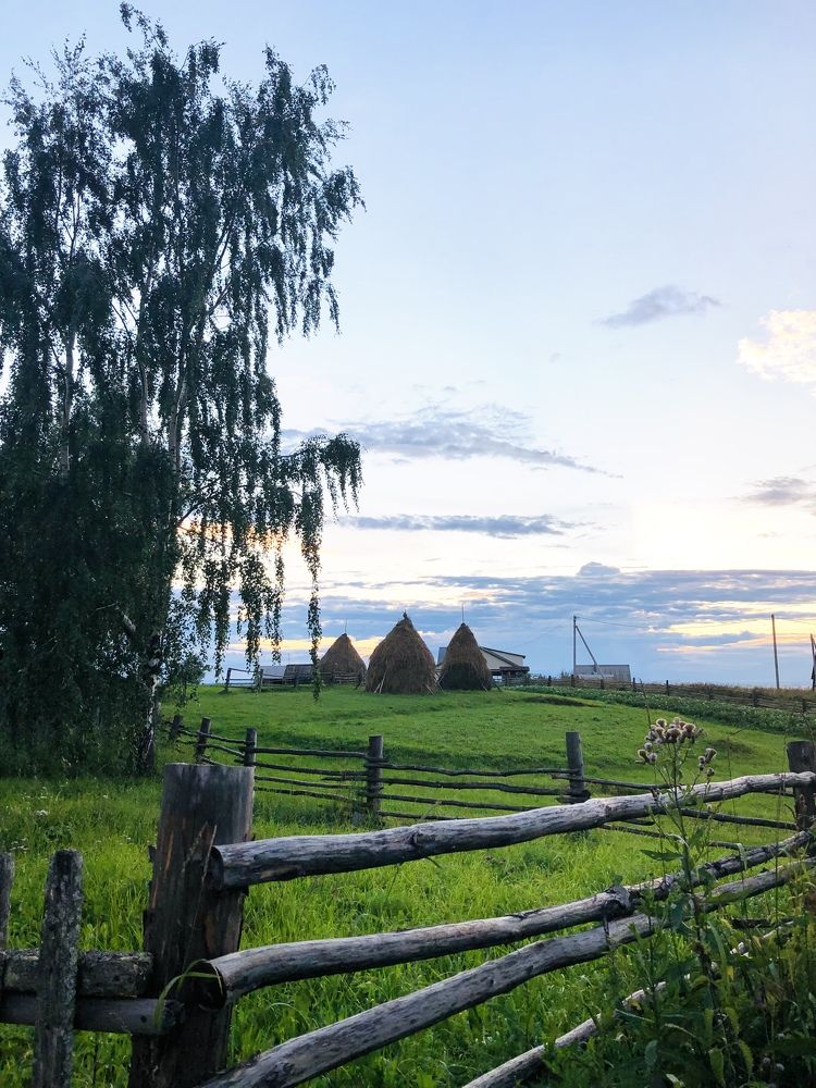Photograph by Елена Шведова