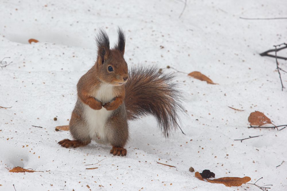 Photograph by Ekaterina Narozhnova