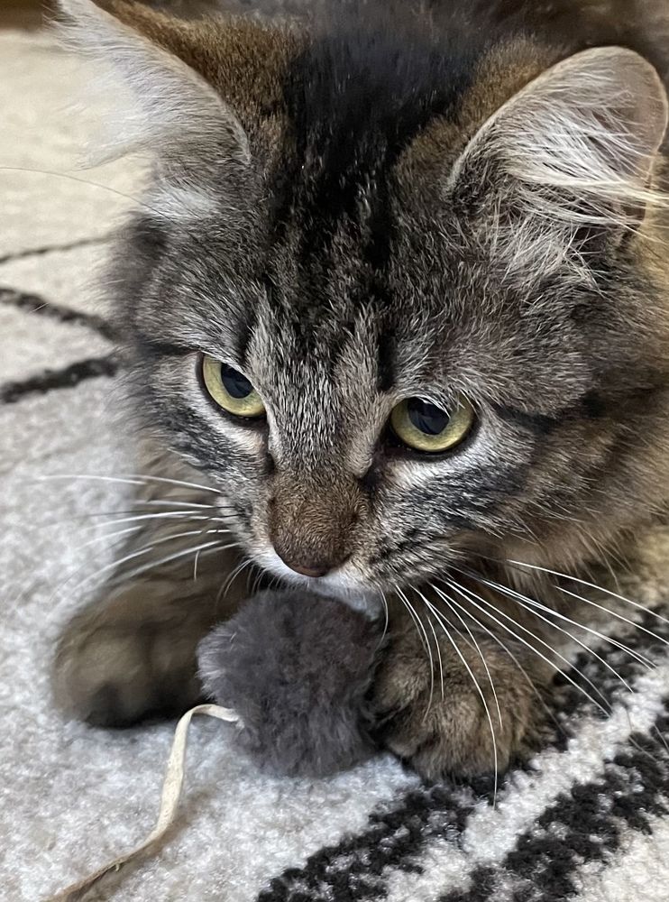 Photograph by Татьяна