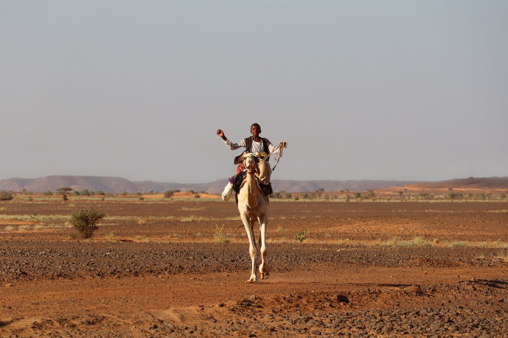 Photograph by Anna Perevozchikova