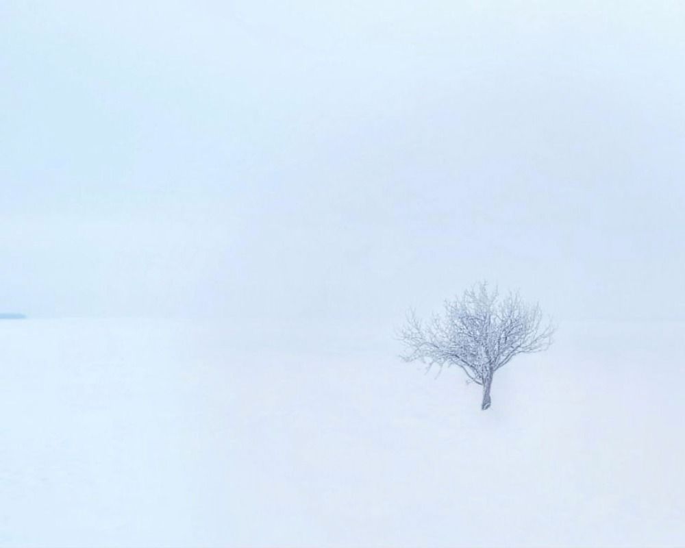 Photograph by Денис Шамров