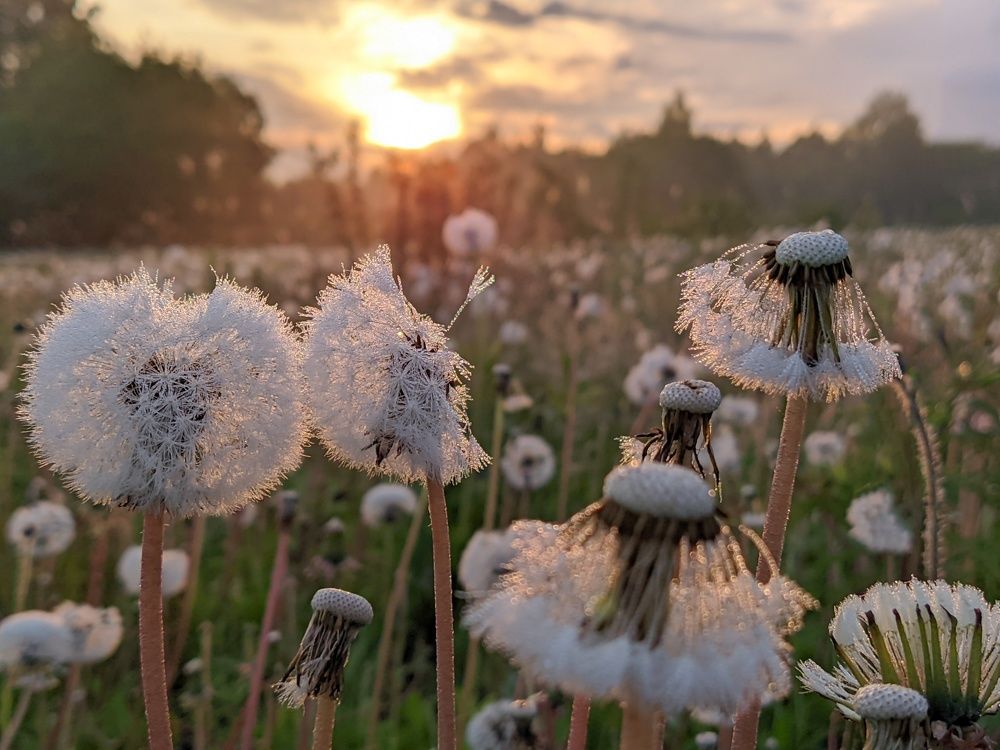 Photograph by Светлана Кондрашова