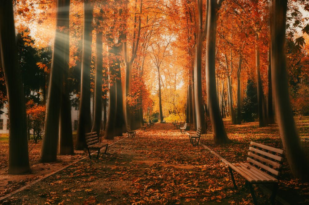 Photograph by Yashar Askari