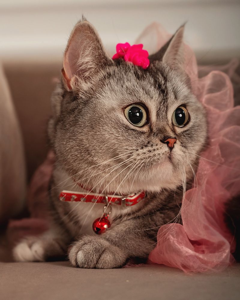 Photograph by Ольга Кириевская