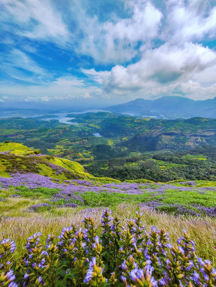 Photograph by Nitin Baste