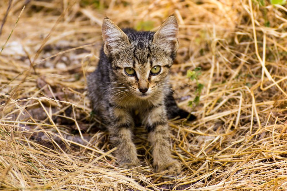 Photograph by Matko Matkovic