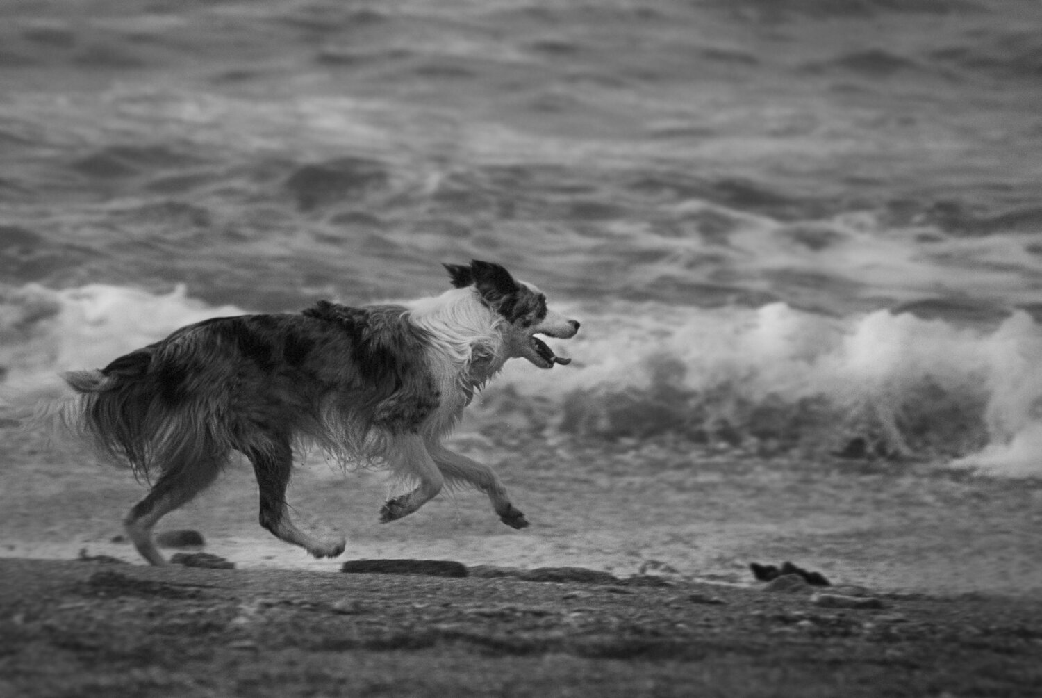 Photo #8696372