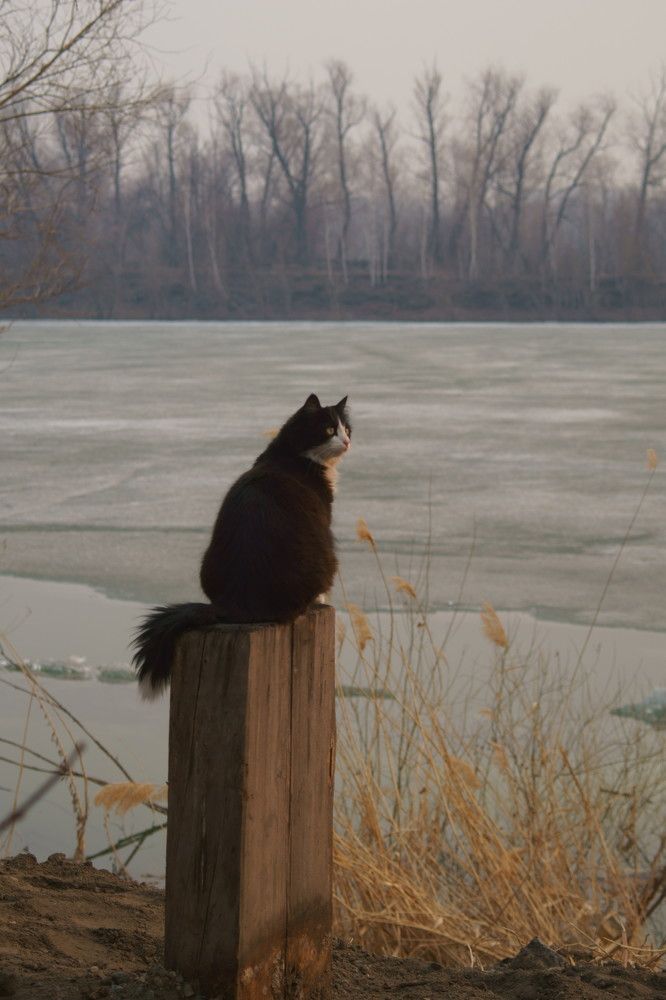 Photograph by Михаил Мостовой