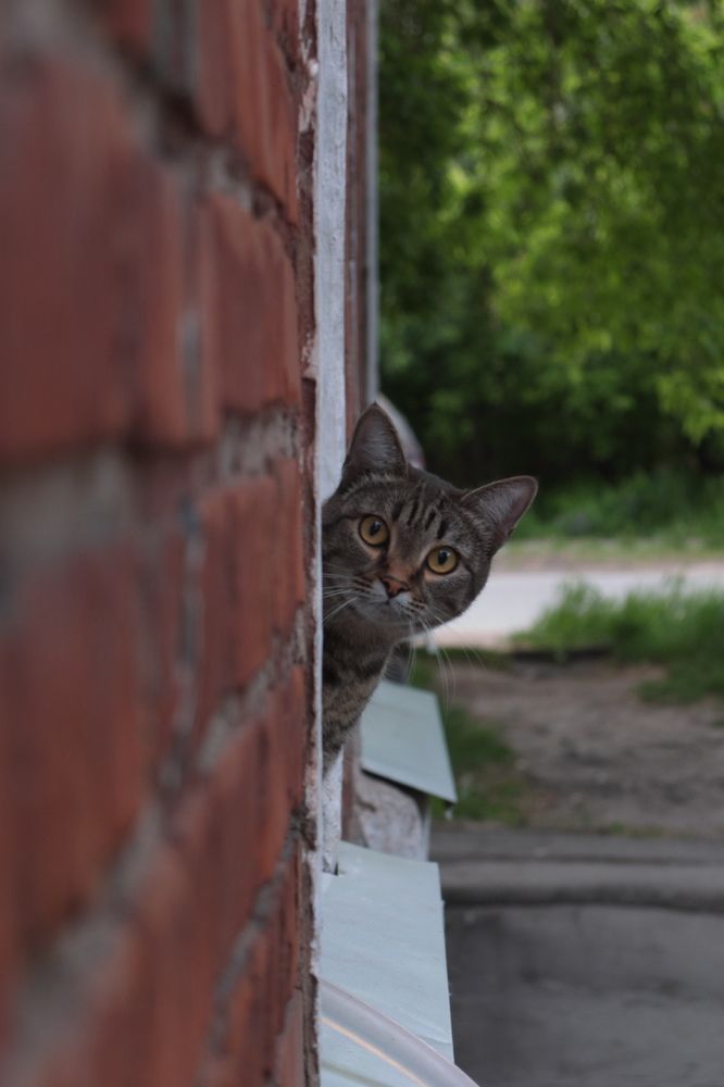 Photograph by Михаил Мостовой