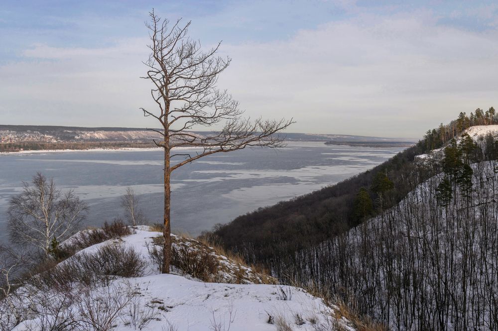Фотография автора Мигунов Даниил