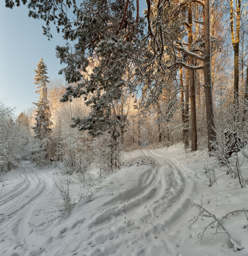 Photograph by Владимир Архипов