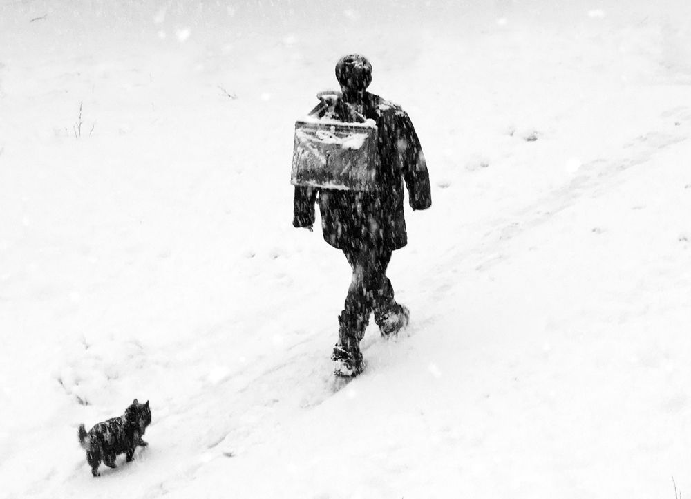 Photograph by Вячеслав Швецов