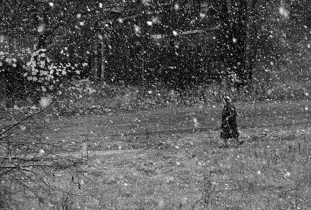 Photograph by Вячеслав Швецов