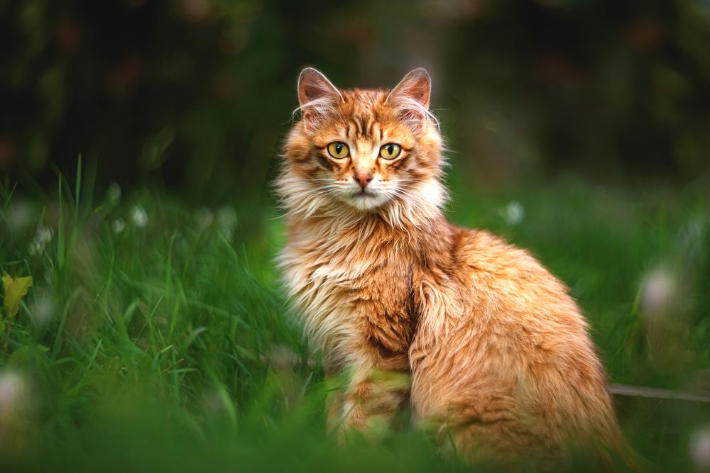 Photograph by Елена Баклач