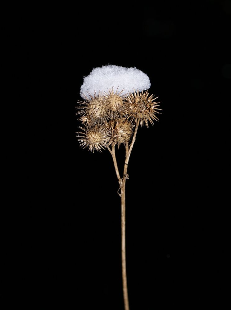 Photograph by Вячеслав Швецов