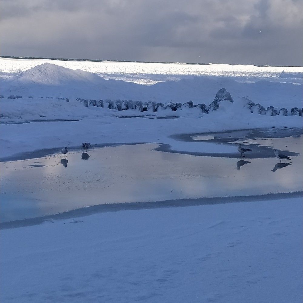 Photograph by Evgesha K