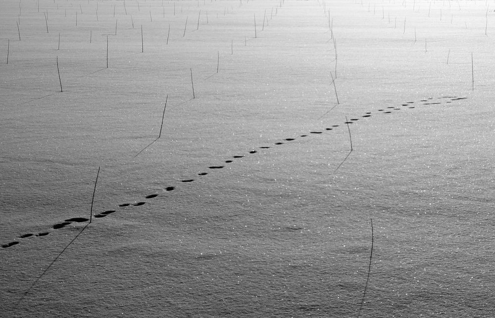 Photograph by Вячеслав Швецов