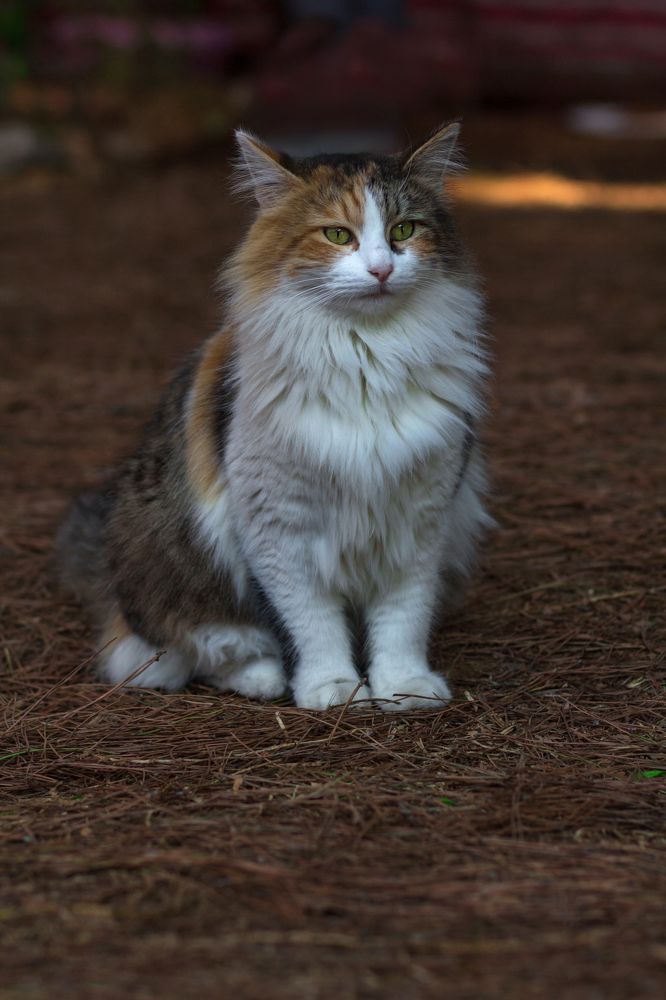 Photograph by Olga Min