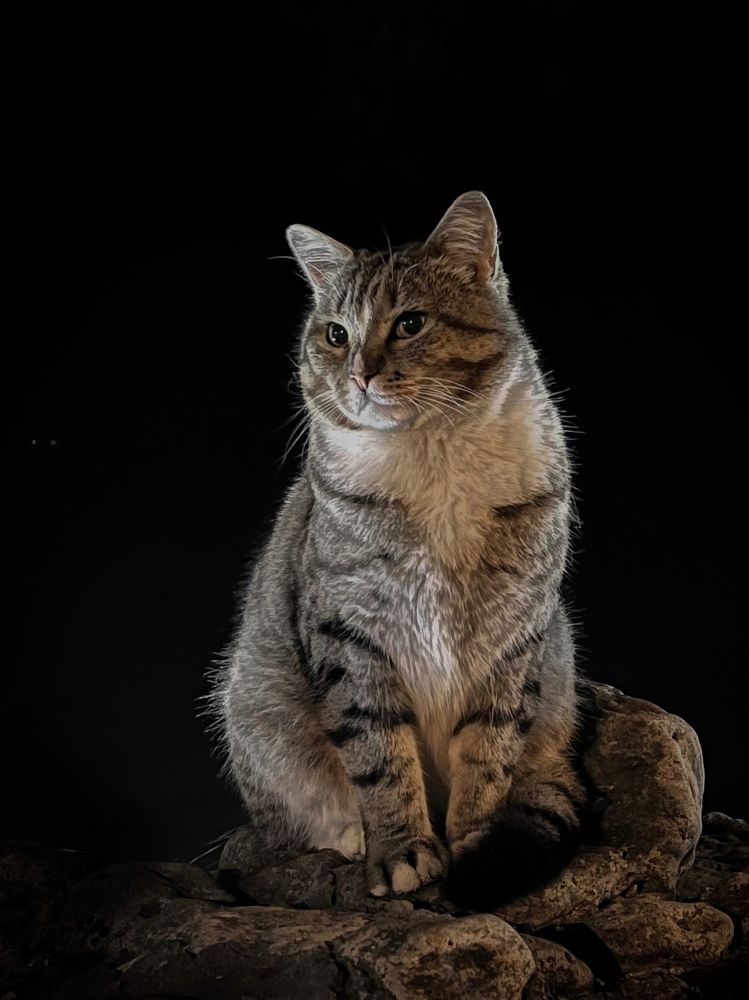 Photograph by Анна Адаменко