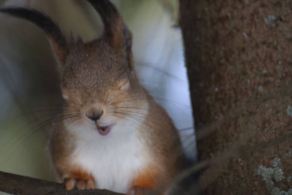 Photograph by Евгения Малафеева