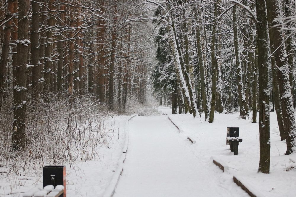 Photograph by Евгения Малафеева