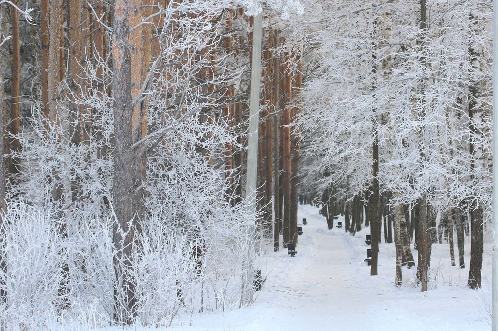 Photograph by Евгения Малафеева