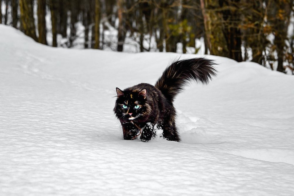 Photograph by Александр Шипиленко