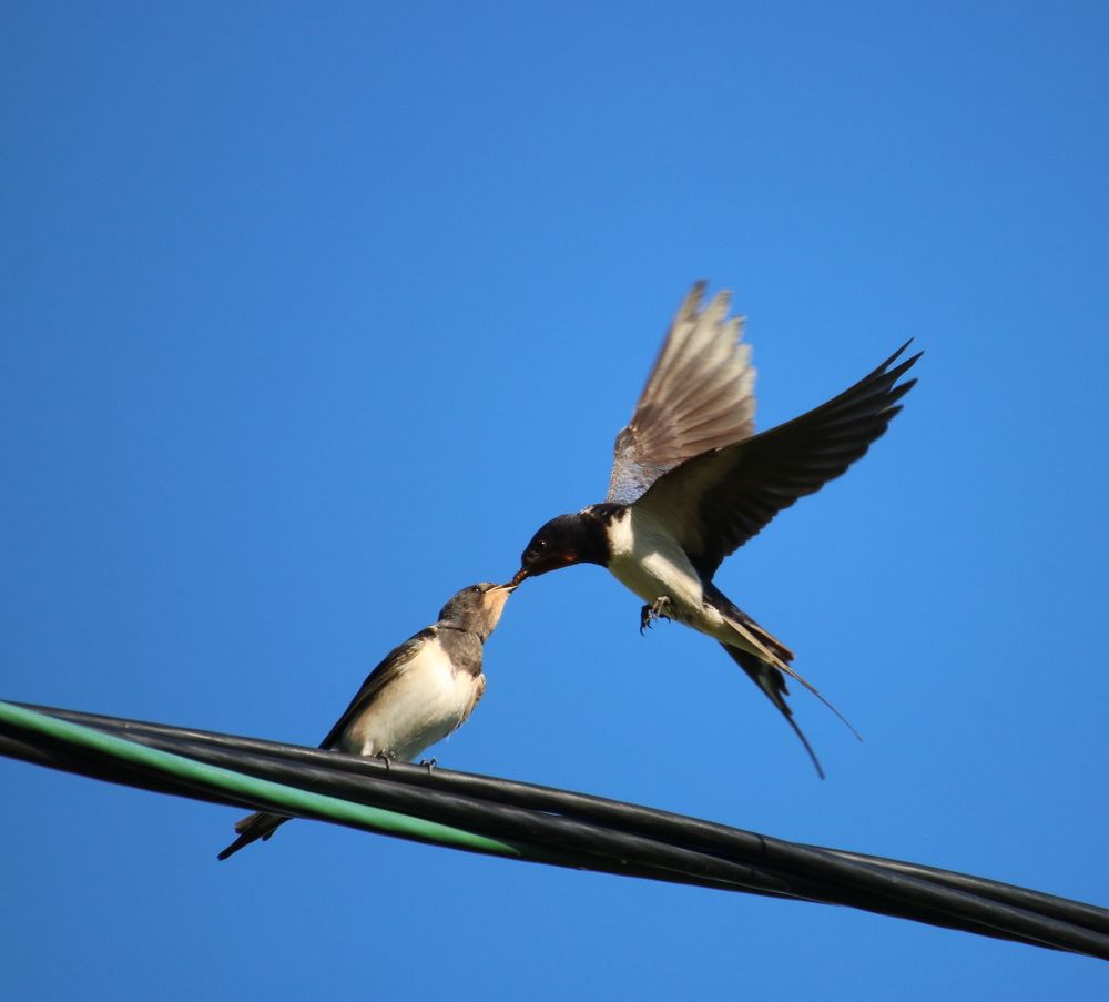 Photograph by Евгения Малафеева