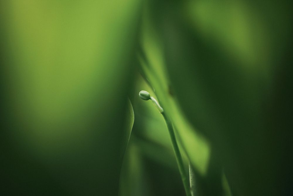 Фотография автора Алиса Чурчудесная